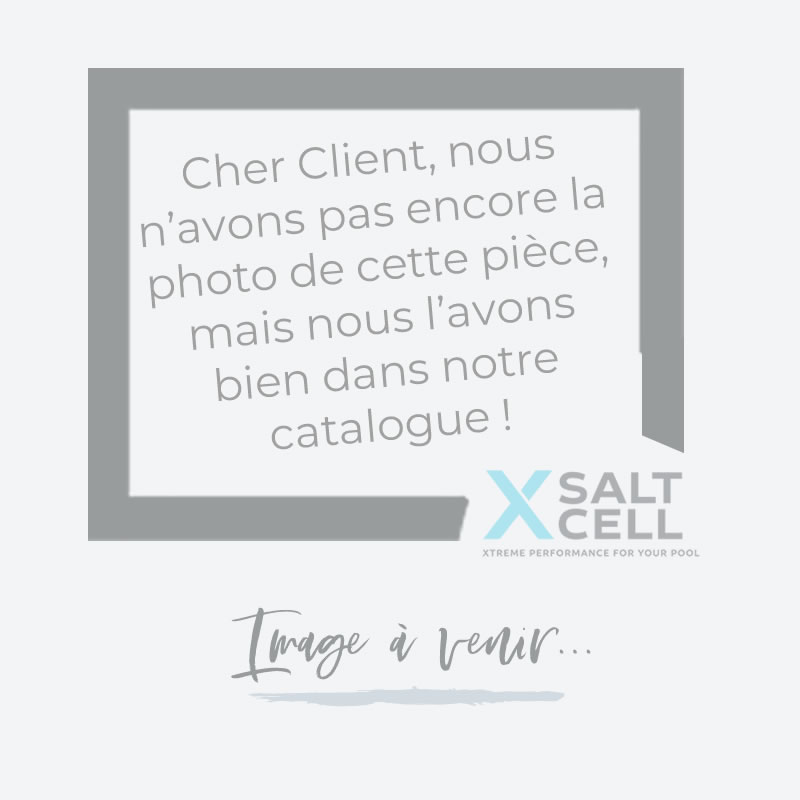 Cellule compatible Zodiac EI25 piscine 110 m3 pour électrolyseur de piscine au sel - 11 Plaques | ZOD-EI25-C11P_C